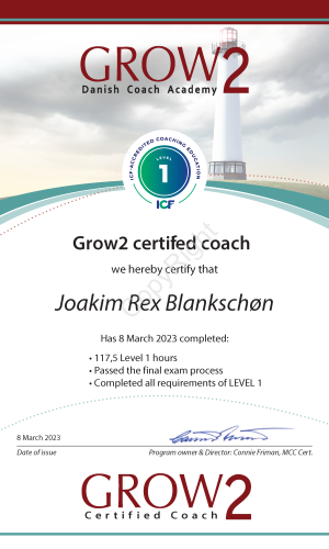 Joakim Rex Blankschøn certifikat 2023 - med CopyRight